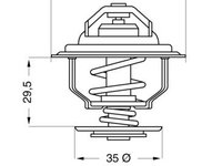 Termostat,lichid racire BorgWarner (Wahler) 4255.87D