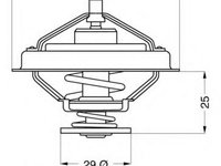 Termostat,lichid racire IVECO EuroCargo, IVECO Zeta, IVECO M - WAHLER 4166.79D