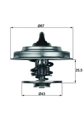 Termostat lichid racire MAHLE TX 18 87D