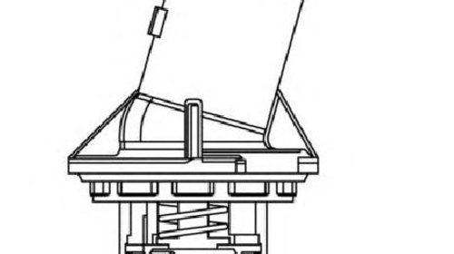 Termostat, lichid racire MERCEDES C-CLASS ( W