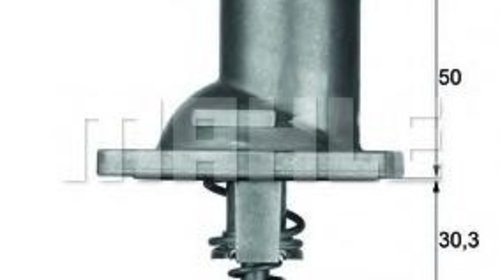 Termostat,lichid racire OPEL MONZA E (39_, 49