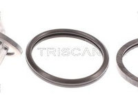 Termostat,lichid racire TRISCAN 8620 7688