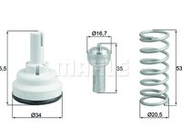 Termostat,lichid racire (TX182105D MAH) VW