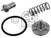 Termostat lichid racire VW EOS 1F7 1F8 FEBI 36844