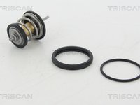 Termostat lichid racire VW PASSAT CC 357 TRISCAN 862031795