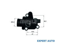 Termostat Mercedes A-CLASS (W168) 1997-2004 #2 1662030075