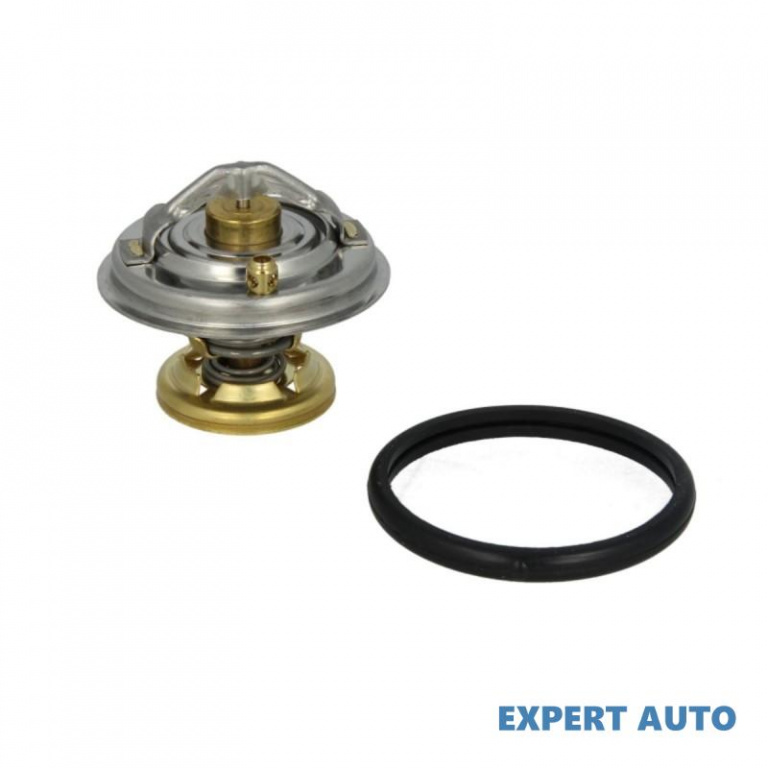 Termostat Ssang Yong Rexton (2002->) [GAB_] #2 0042030975