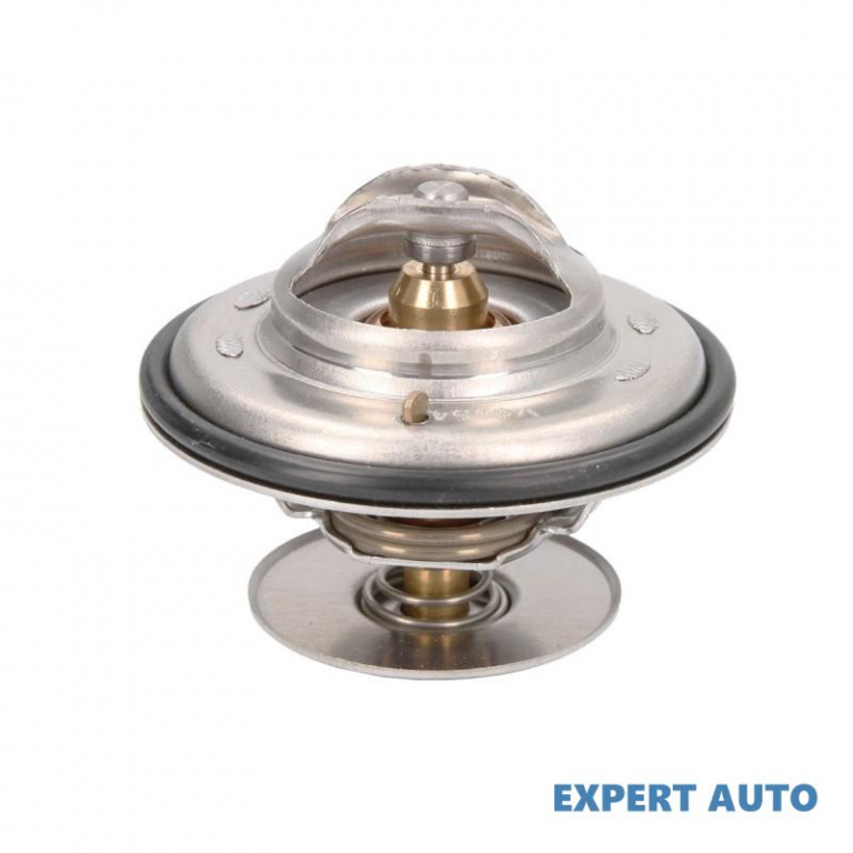 Termostat Ssang Yong Rexton (2002->) [GAB_] #8 0012039175
