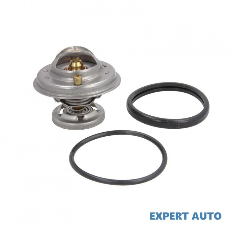 Termostat Ssang Yong Rexton (2002->) [GAB_] #8 0042030975