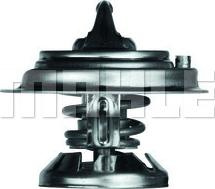 Termostat SSANGYONG KYRON MAHLE TX 29 85D