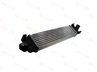 Termotech intercooler pt ford focus 2, c-max