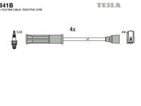 Tesla set fise bujii pt renault clio 2, megane 1