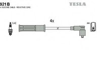 Tesla set fise bujii pt renault thalia mot 1.4 55kw/75cp