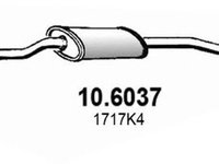 Toba esapament CITROEN XSARA Break N2 ASSO 106037