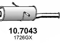 Toba esapament finala CITROEN XSARA N1 ASSO 107043