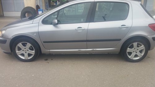 Toba esapament Peugeot 307 2.0 hdi