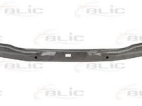 Trager panou fata FORD TRANSIT TOURNEO BLIC 6502022515235P