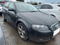 Usa dreapta fata Audi A3 8P 2008 HATCHBACK 2.0 BKD