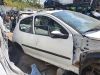 Usa dreapta spate Peugeot 206