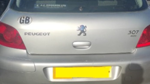 Usa dreapta spate Peugeot 307 2006 hatchback 1.6HDi