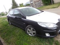 Usa Fata Peugeot 407 din 2005