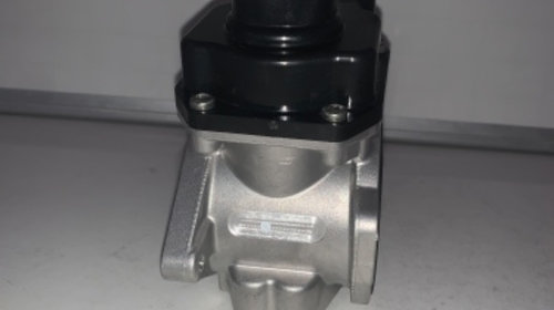 VALEO 700424 Supapa EGR electric, cu garnituri, fara radiator EGR, /Audi /Seat/Vw /Skoda