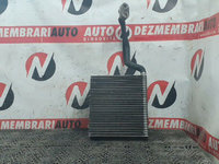 VAPORIZATOR AUDI A4 B7 2005 OEM:8E1820103A.