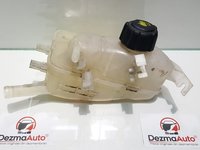 Vas expansiune, 217100005R, Renault Megane 3 combi din dezmembrari