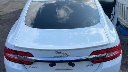 Vas expansiune Jaguar XF 2015 Sedan 3.0