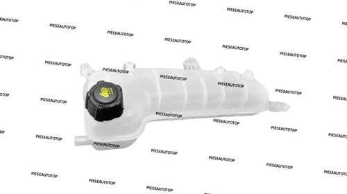 Vas expansiune Renault Kangoo 1.2 2003-2008 N