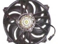 Ventilator, radiator PEUGEOT 307 (3A/C), PEUGEOT 307 SW (3H), PEUGEOT 307 CC (3B) - BERU LE079