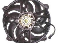 Ventilator, radiator PEUGEOT 307 (3A/C), PEUGEOT 307 SW (3H), PEUGEOT 307 CC (3B) - BERU LE075