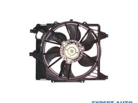 Ventilator, radiator Renault SCENIC I (JA0/1_) 1999-2003 #2 05091737