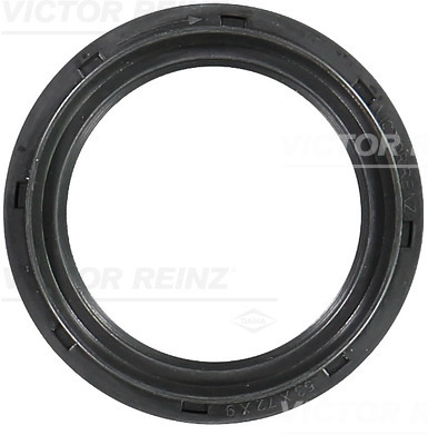 VICTOR REINZ Simering, arbore cotit 81-42879-00 co